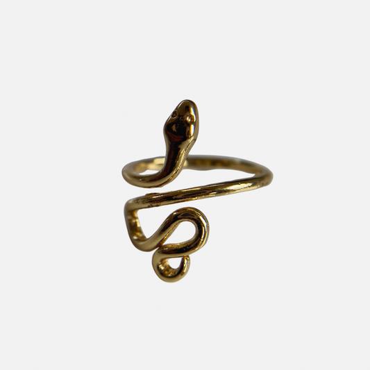 Anillo de vibora